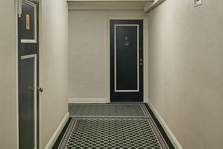 Midtown apartment mold inspection