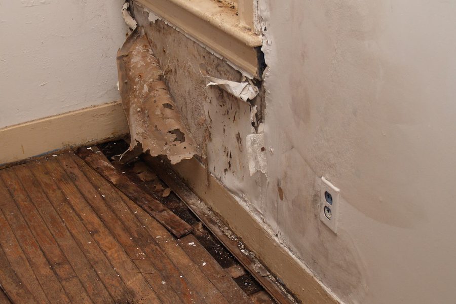 Water leak cleanup